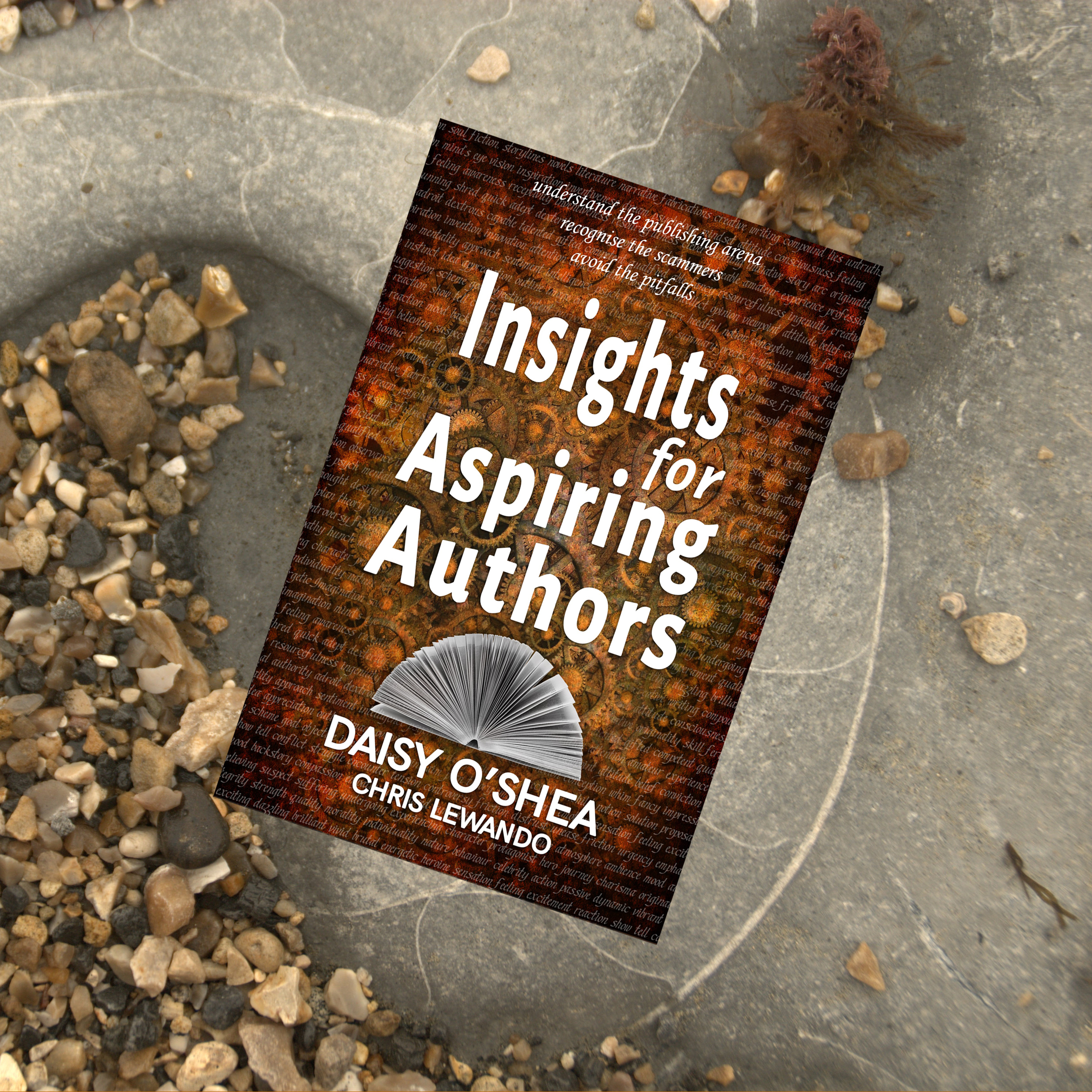 Insights for Aspiring Authors